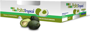 Palta Tropical