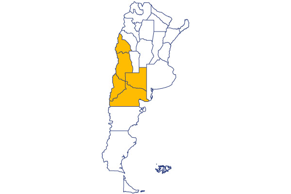 frutas-seccion-pera-mapa-argentina-tropical