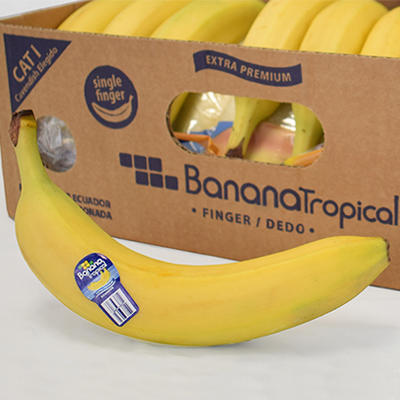 tropical-argentina-banana-dedo-caja-cel