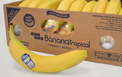 tropical-argentina-banana-dedo-caja-pc-2